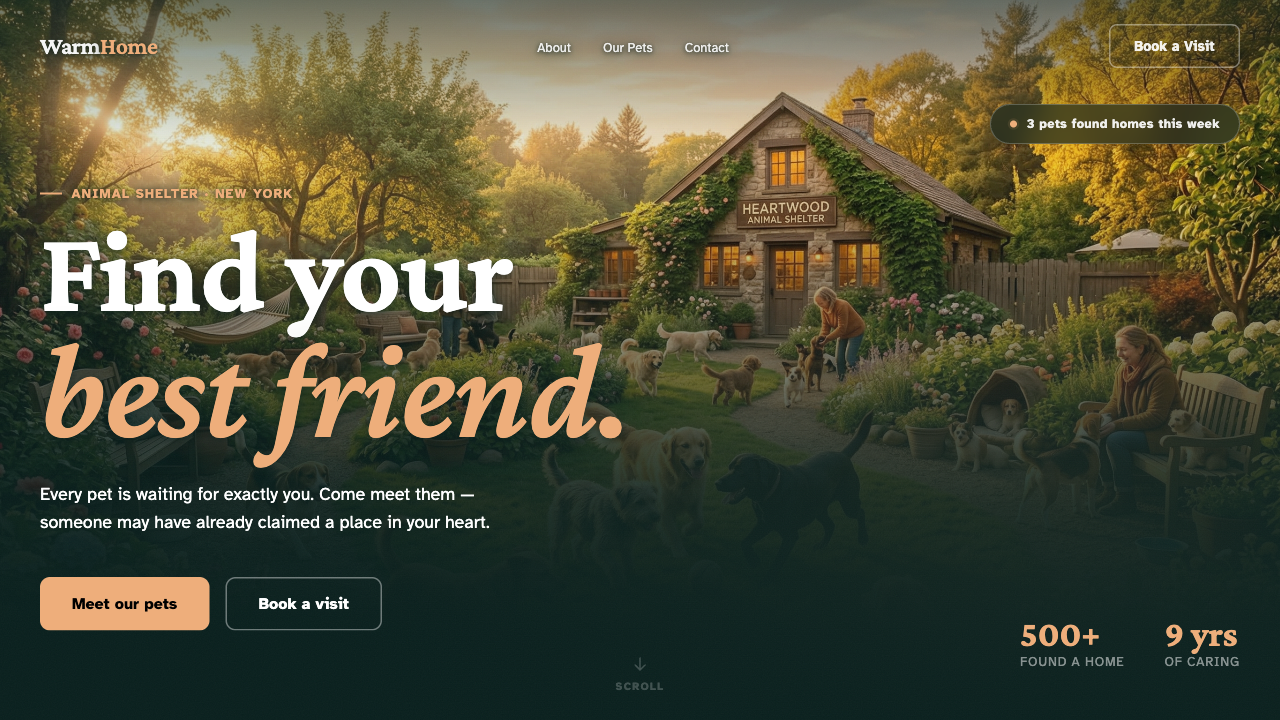 With Vibe Code Kit design skill